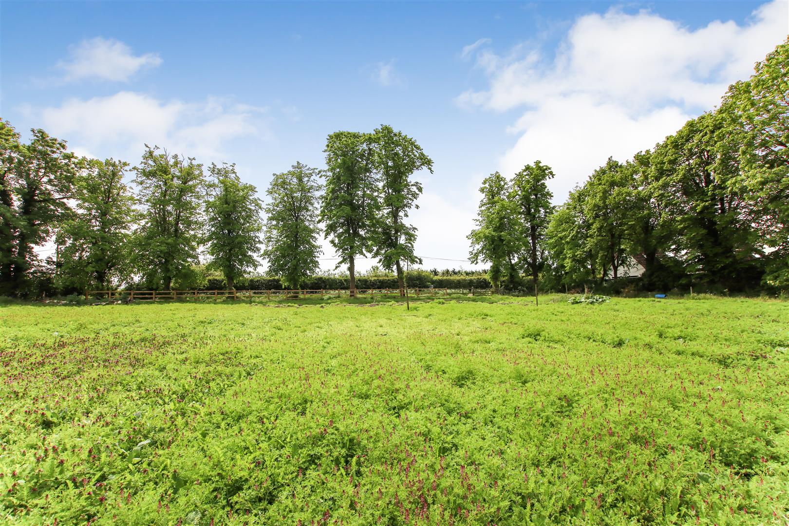 Burwell Road, Reach, Cambridge